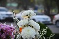 20180118-Inauguration Day -148
